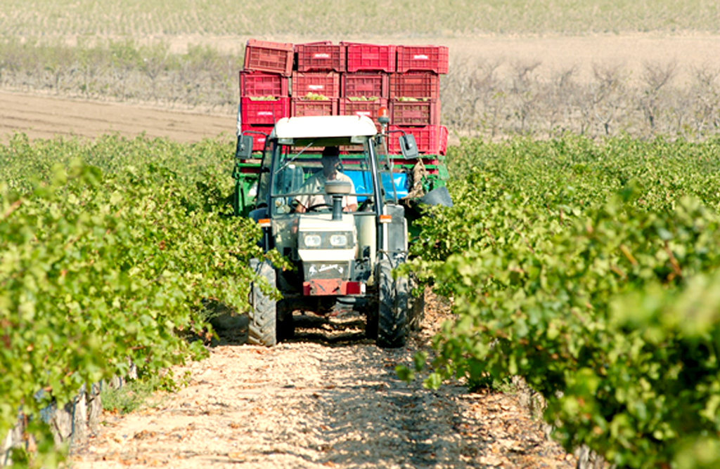 Cerca de 10.000 agricultores y ganaderos de la Regi�n ya pueden solicitar las ayudas de la PAC 2026