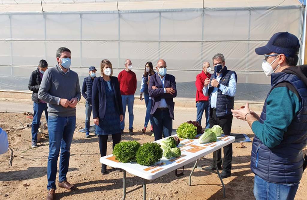 La Comunidad investiga nuevas variedades hortcolas para hacer frente al cambio climtico 