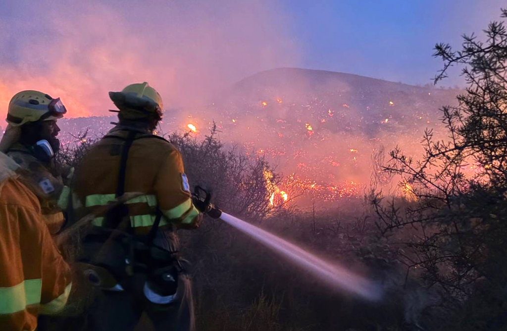 Estabilizado el incendio de La Pinilla tras arrasar 228 hect�reas