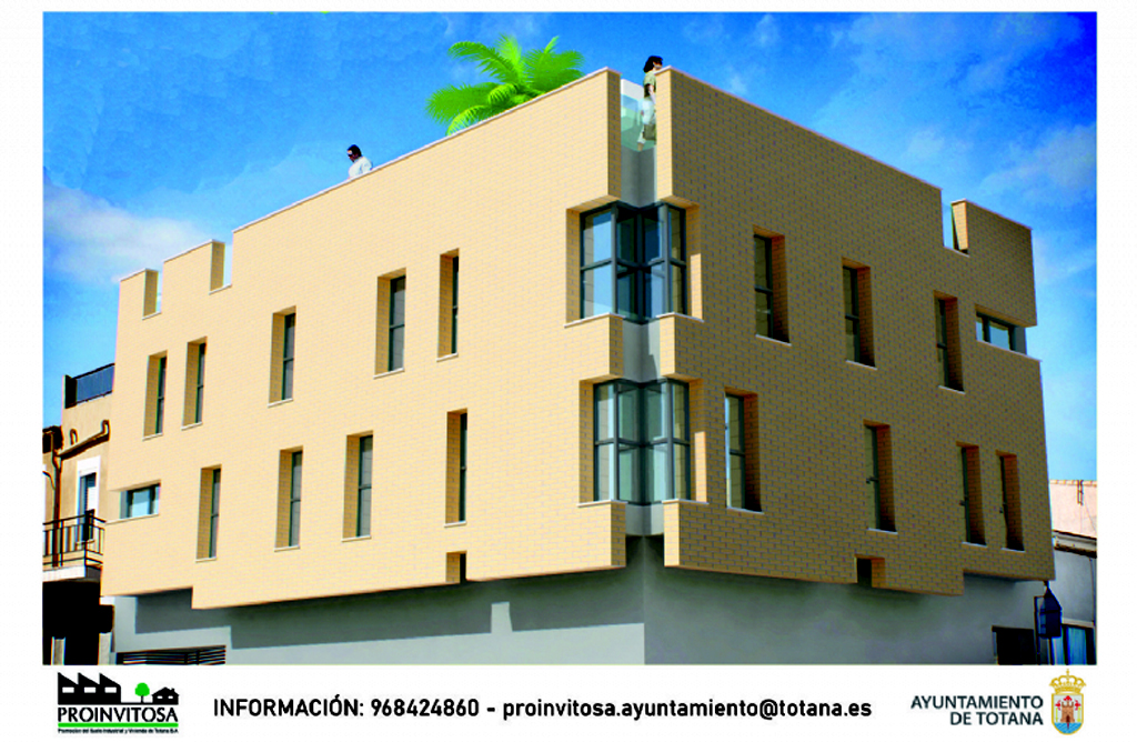 Proinvitosa est realizando un estudio sobre la necesidad y la tipologa de vivienda en el municipio 
