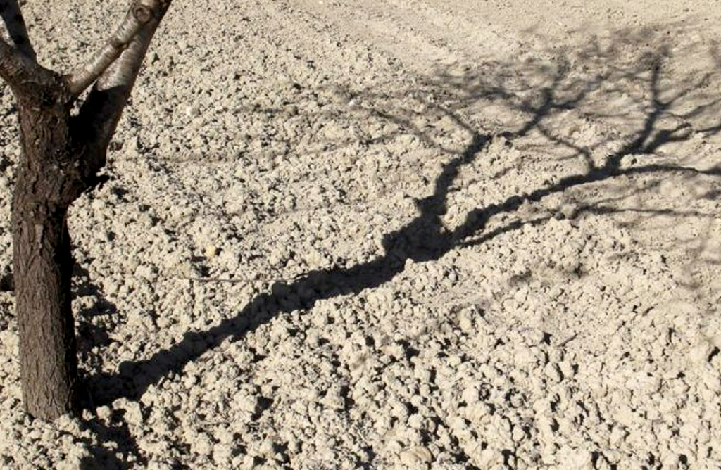 La sequía asola España
