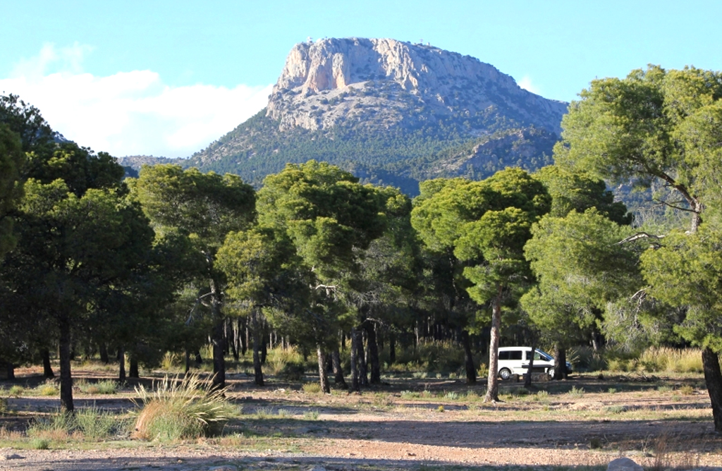 Totana nombra a sus representantes en los �rganos de la Red Natura 2000